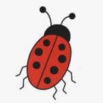 how to draw a ladybug