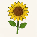 how to draw a sunflower