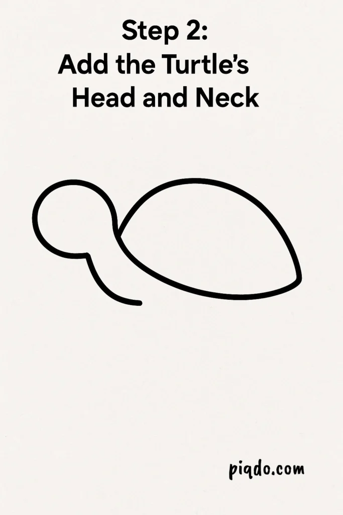 step 2 add the turtles head and neck