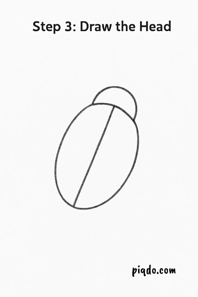 step 3 draw the head