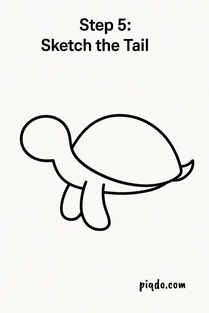 step 5 sketch the tail