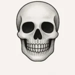 how to draw a skull