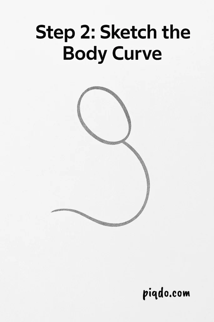 step 2 sketch body curve