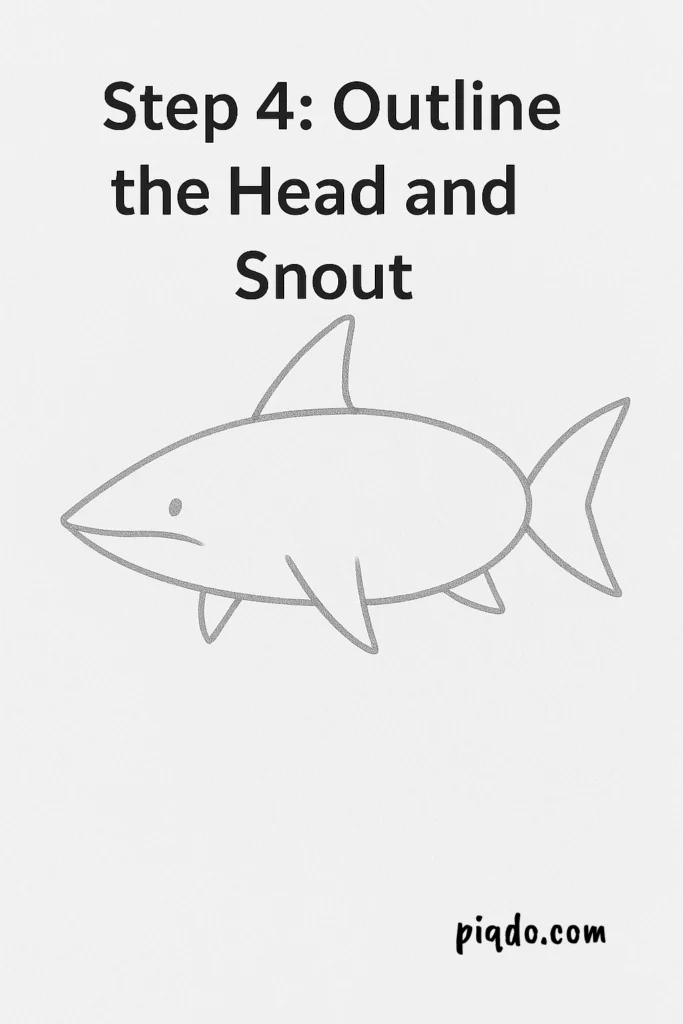 step 4 outline head and snout
